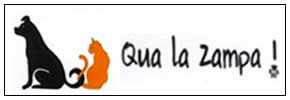 qua la zampa