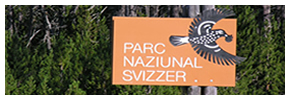 Svizzero